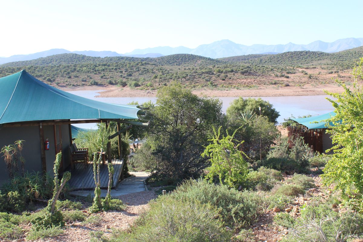 Buffelsdrift Game Lodge Aussicht vom oberen Zelt