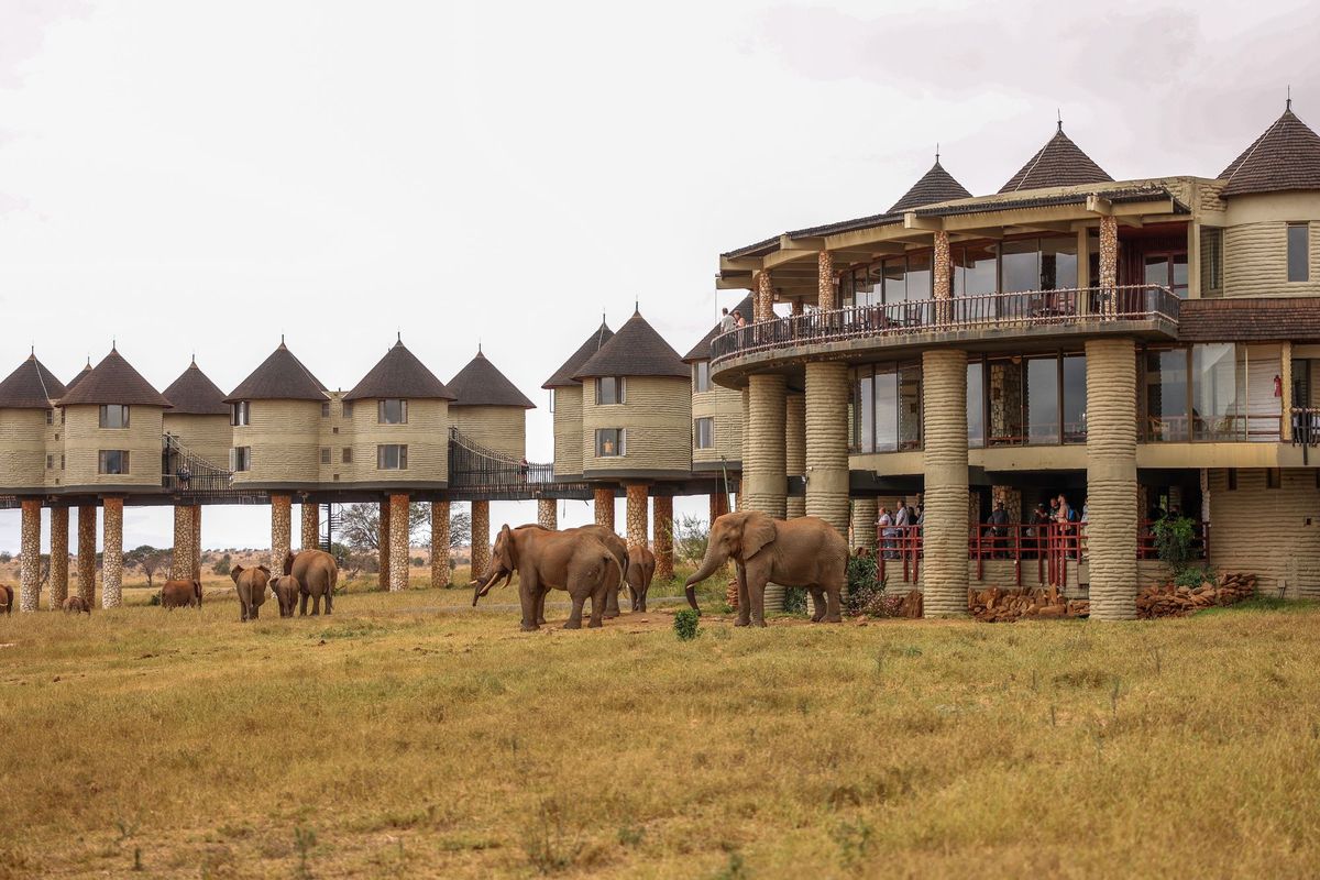 Salt Lick Safari Lodge elis