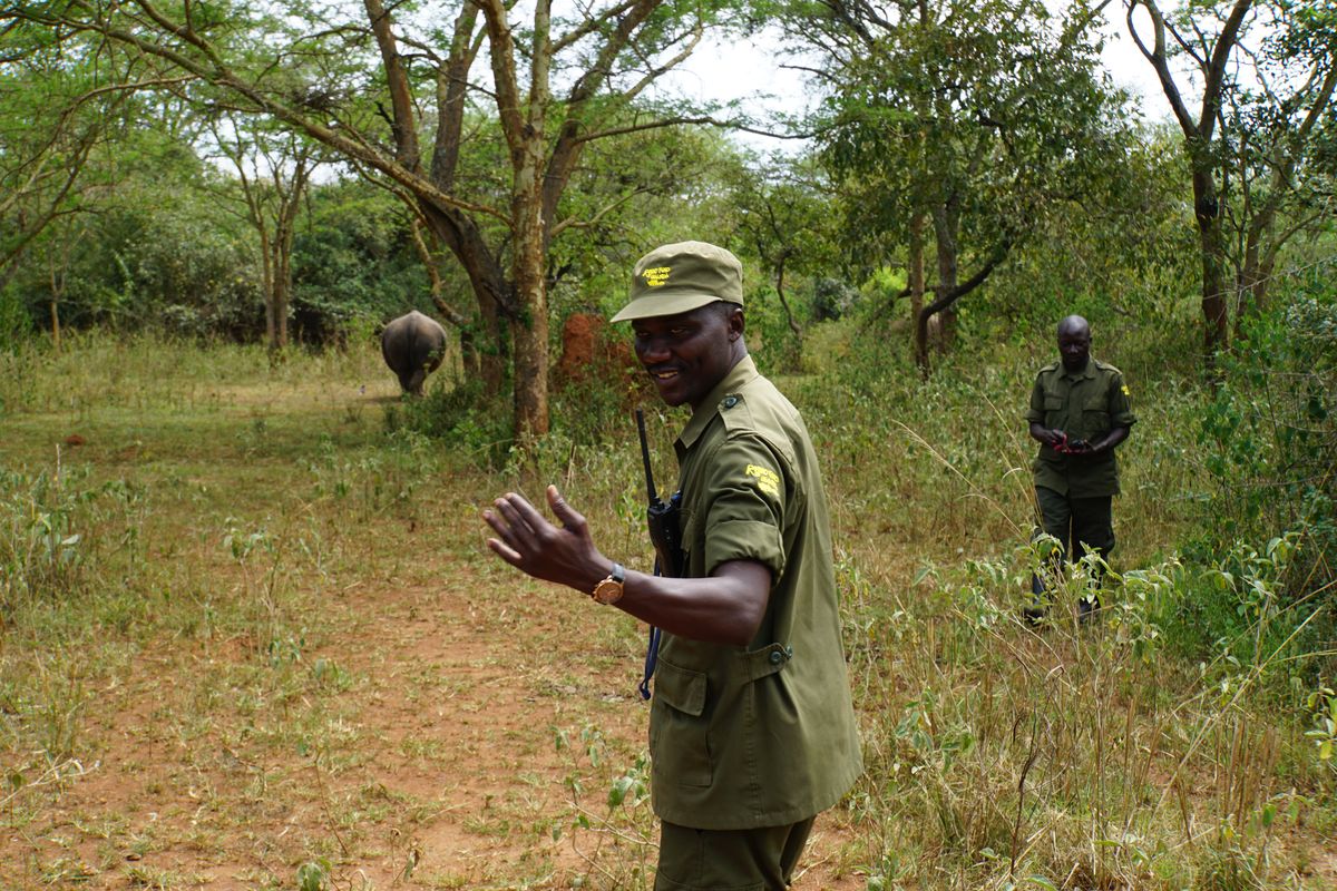 Ziwa guide