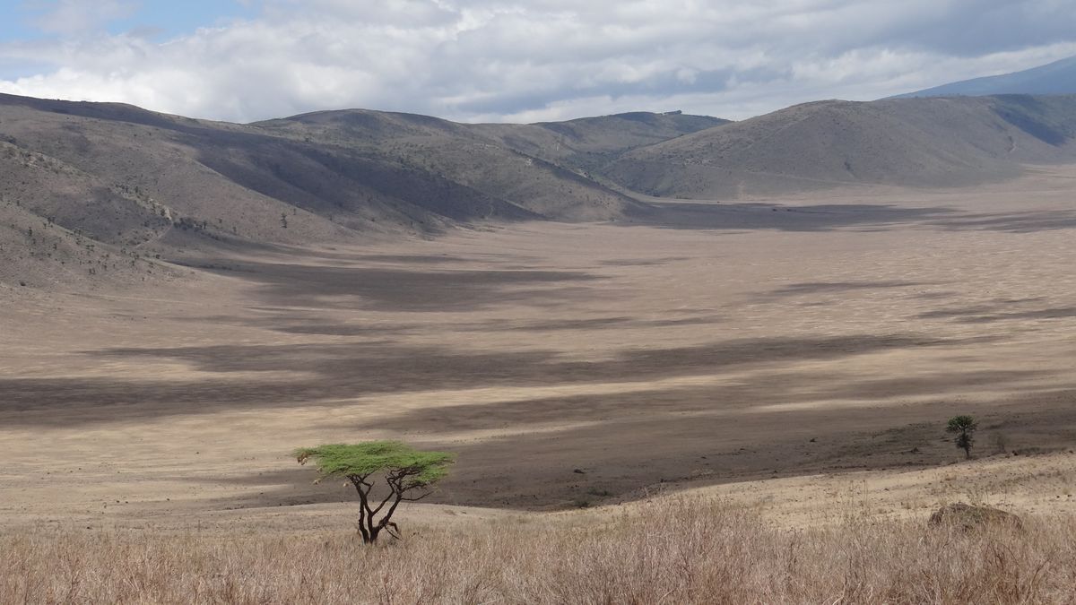 Ngorongoro Krater