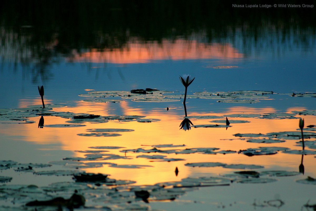 Nkasa sunset