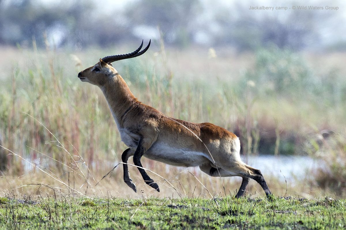 Namibia & Botswana - Im Herzen des Zambezis