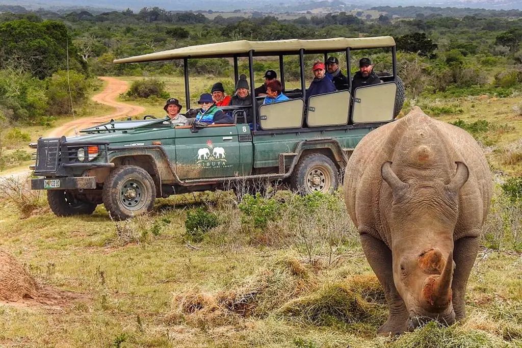 Sibuya Game Reserve game drive rhino