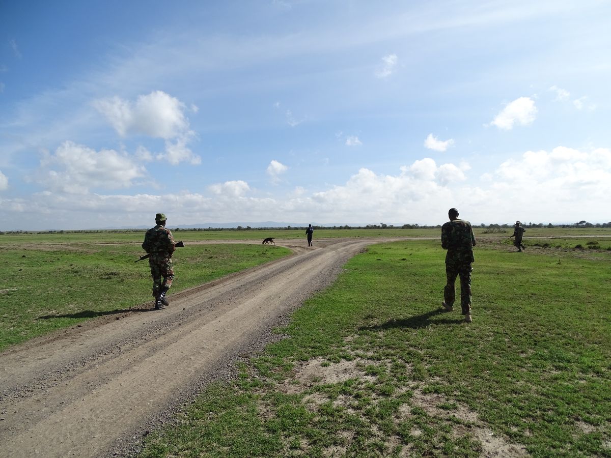 Laikipia bloodhound patrol