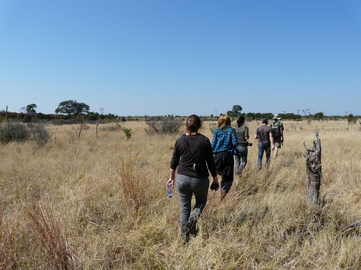 Hwange walking safari