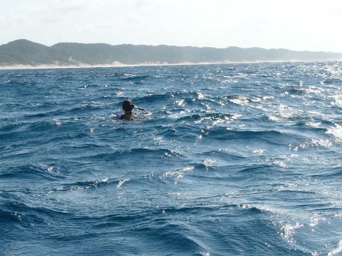 Thonga snorkel trip