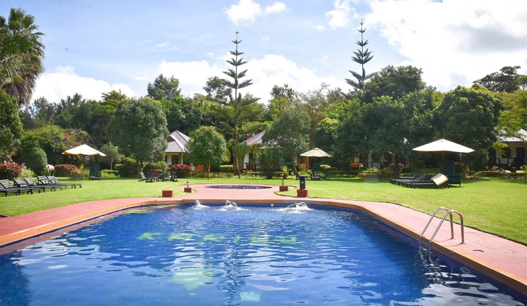 Bougainvillea Safari Lodge pool