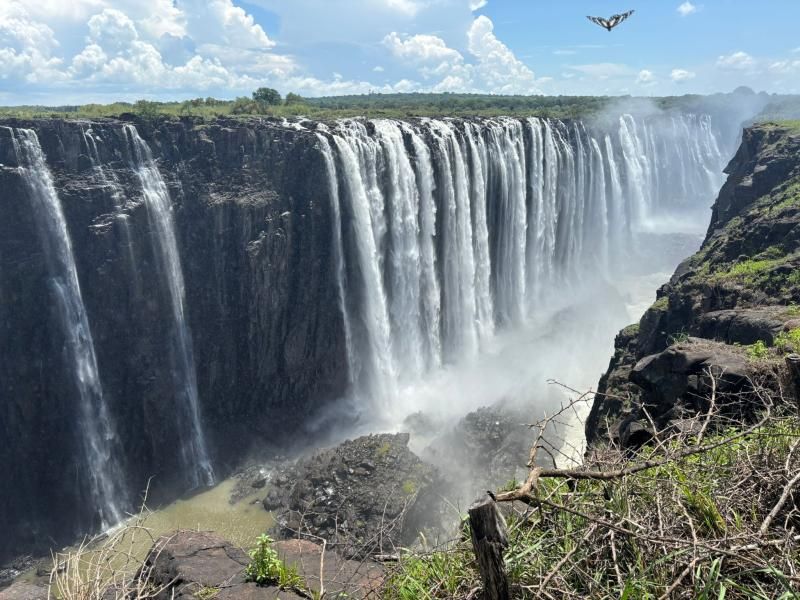 Botswana Family Explorer