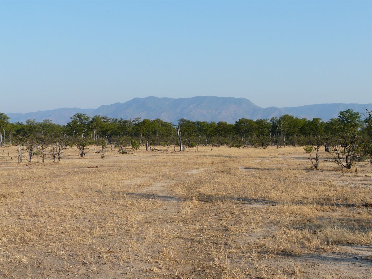 Mana Pools landscape