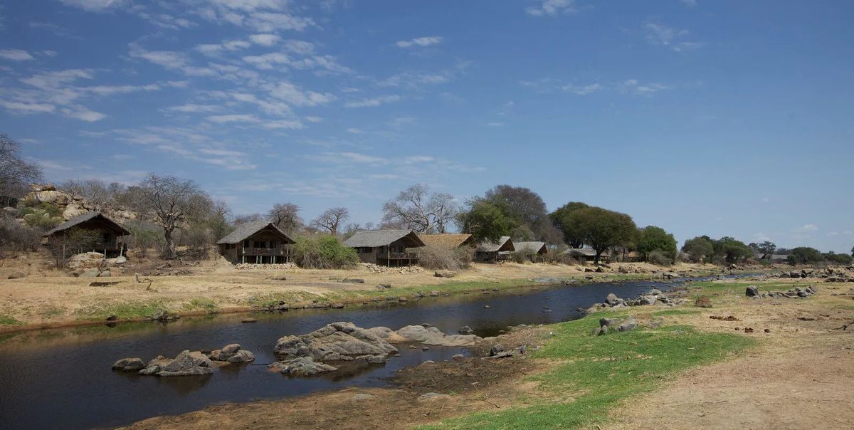 Ruaha River Lodge chalets river front