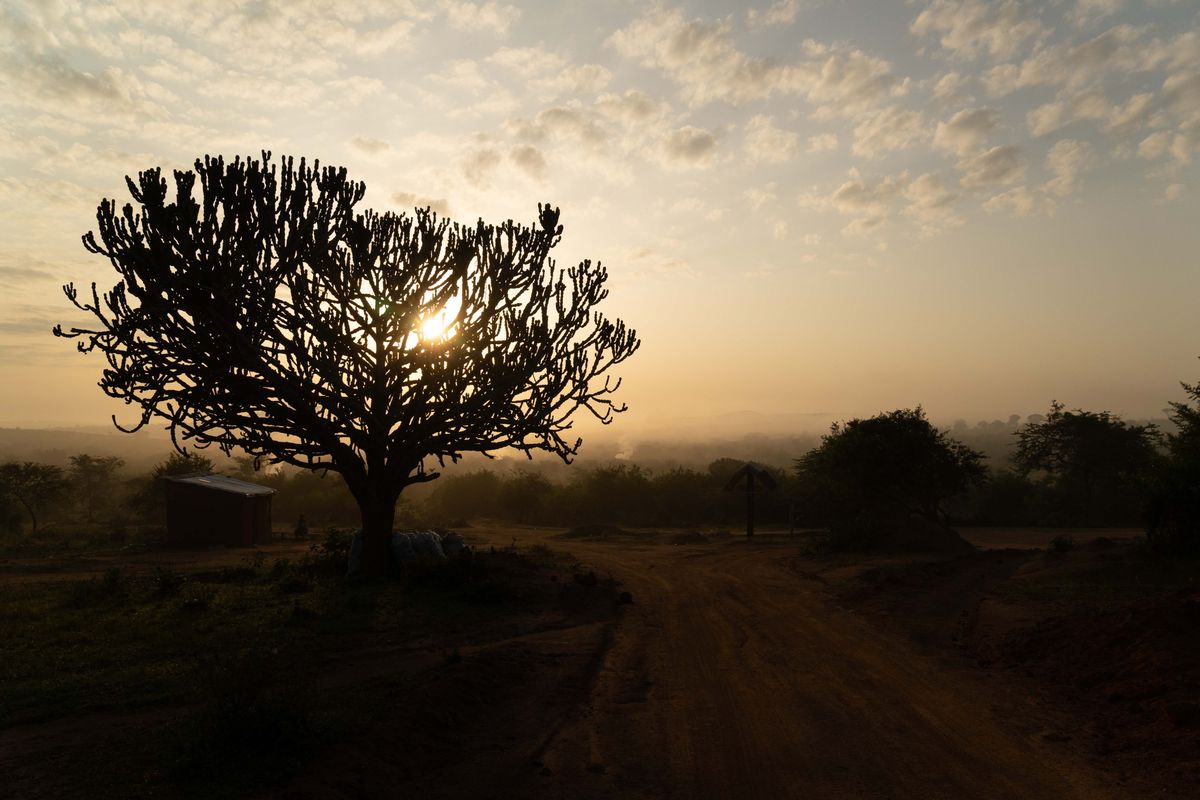 Lake Mburo sunset