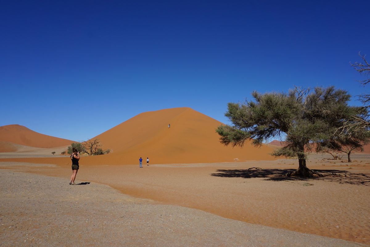 Namib Naukluft Dune 45