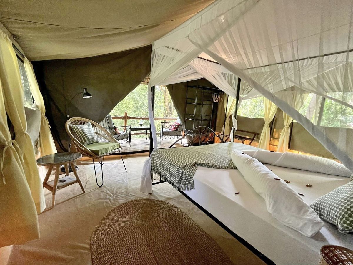 African View Lodge treetop tent view