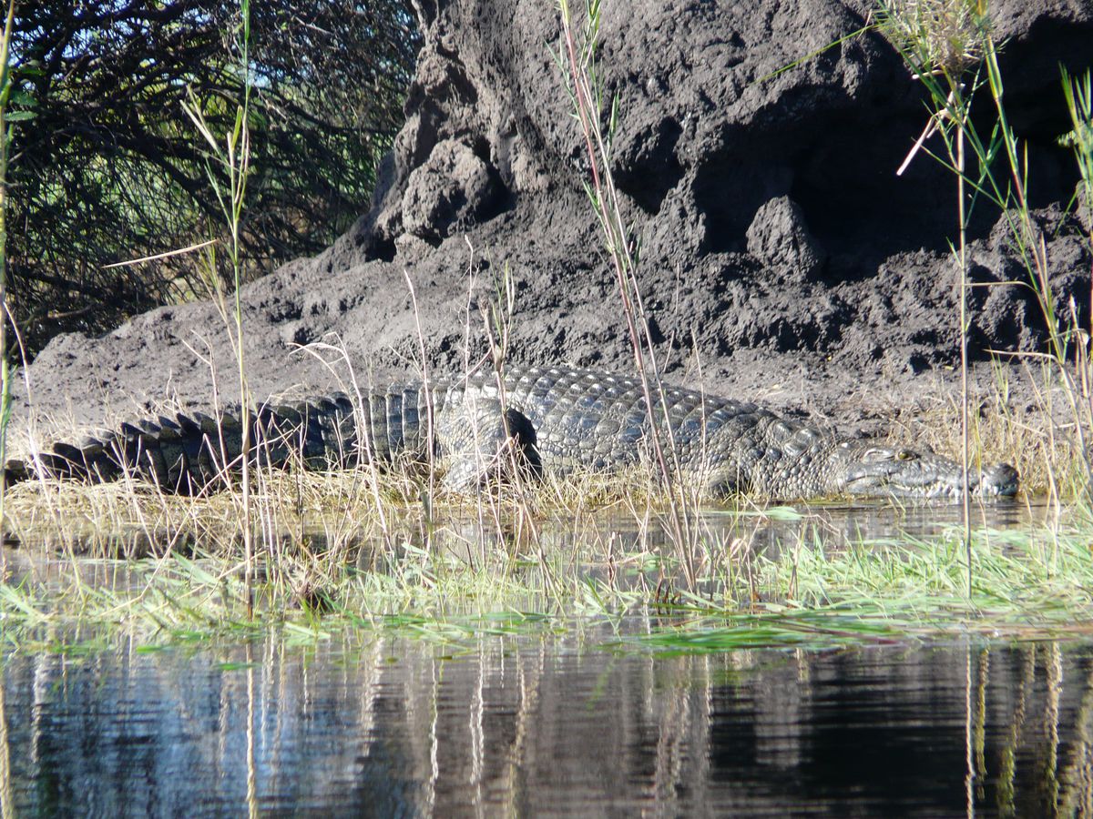 Mudumu Nationalpark