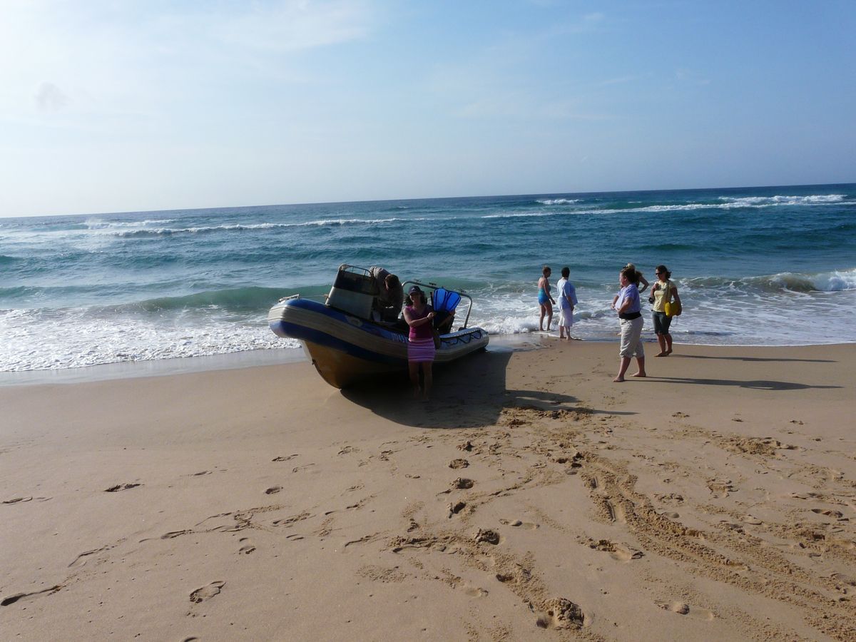 Thonga snorkel trip