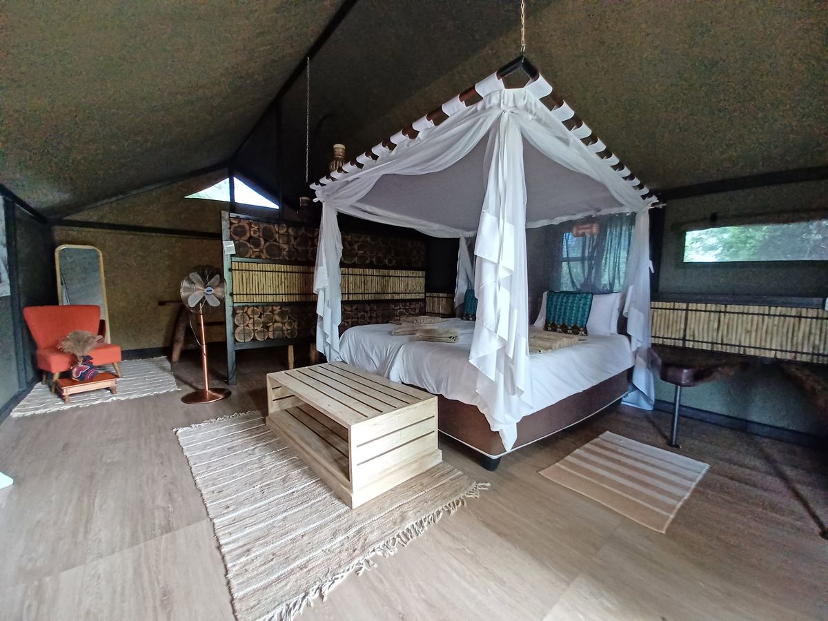 Jackalberry Tented Camp room