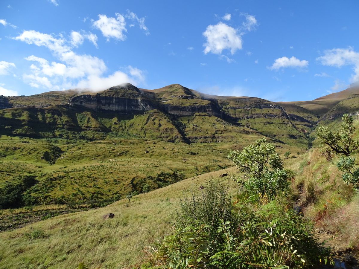 Drakensberg Mountains
