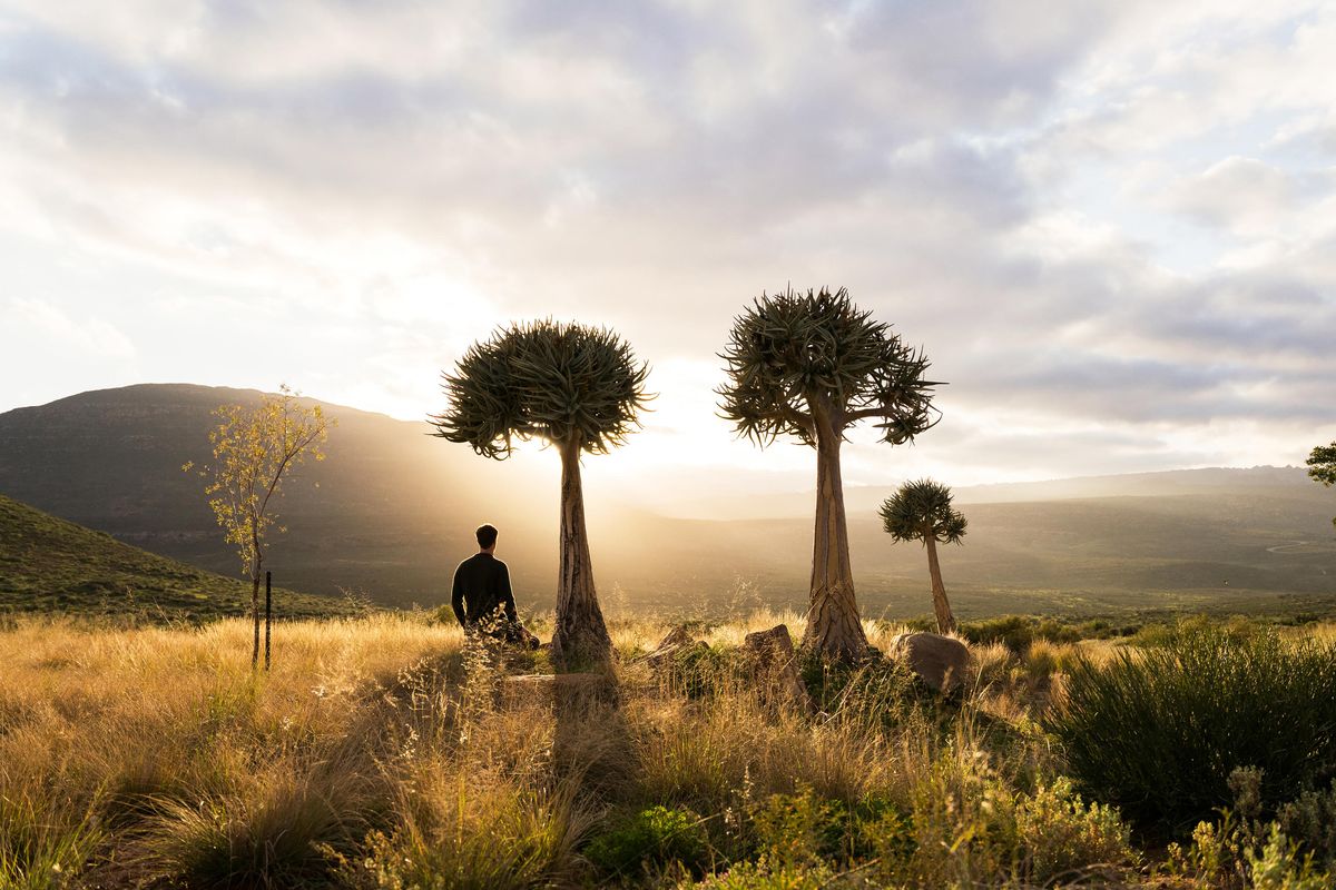 Simbavati Cederberg Ridge landscape