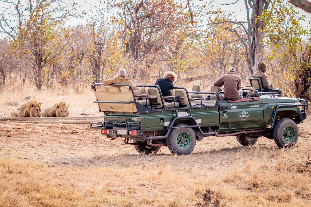 Shindzela TC game drive