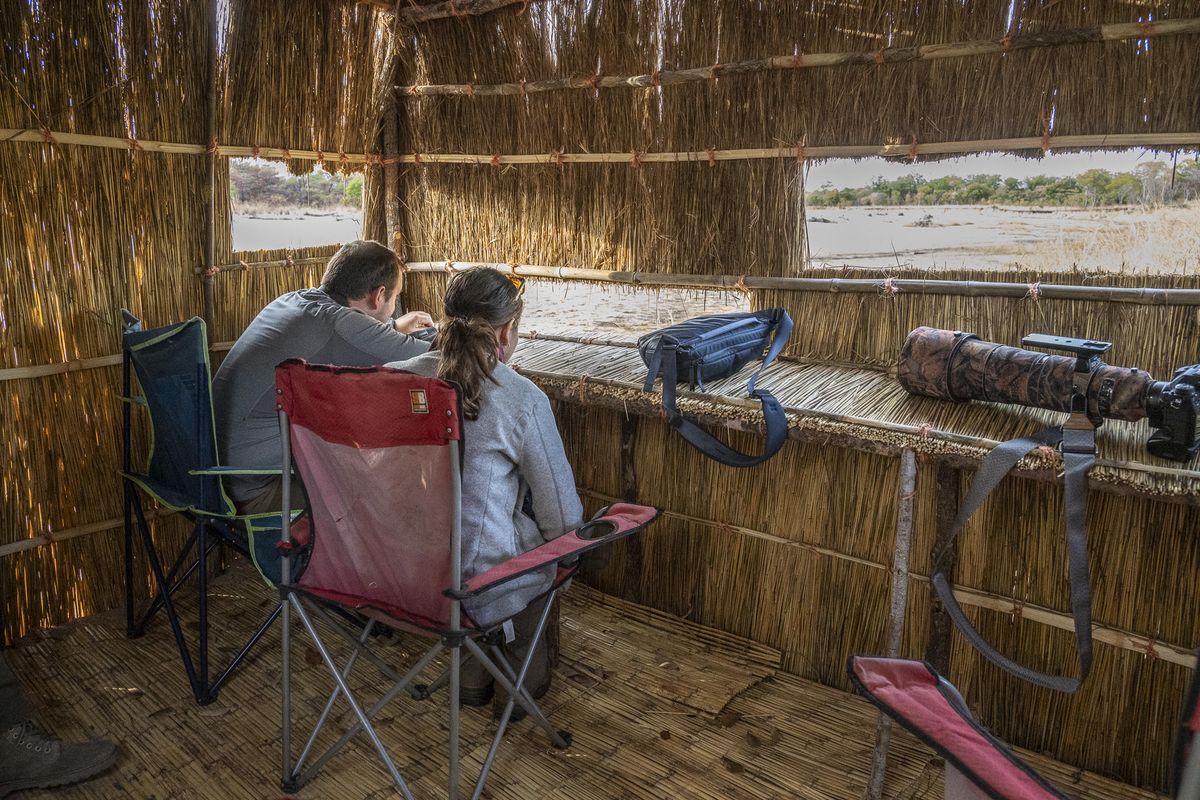Nkonzi Bush Camp hide