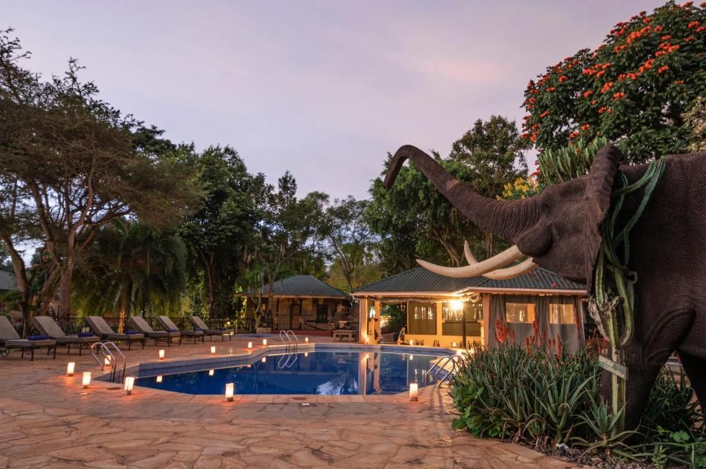 Kudu Lodge pool