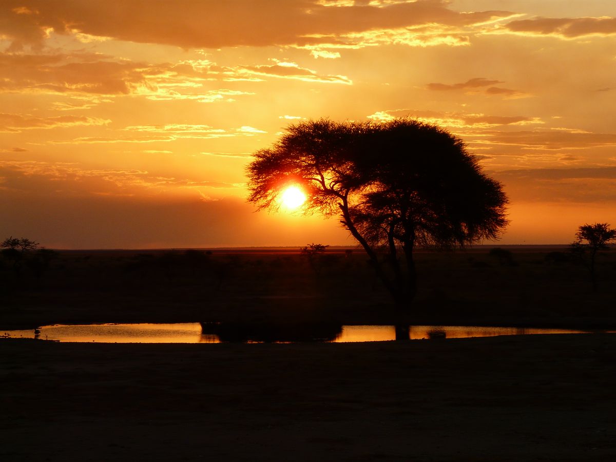 Onguma sunset