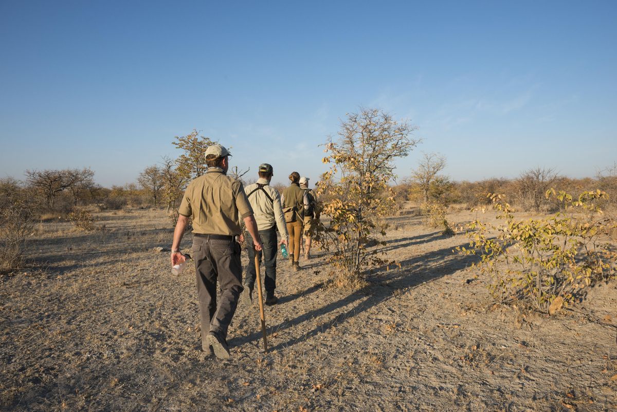 Ongava bush walk