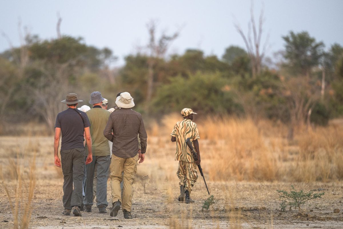 Nkonzi Bush Camp walking safari
