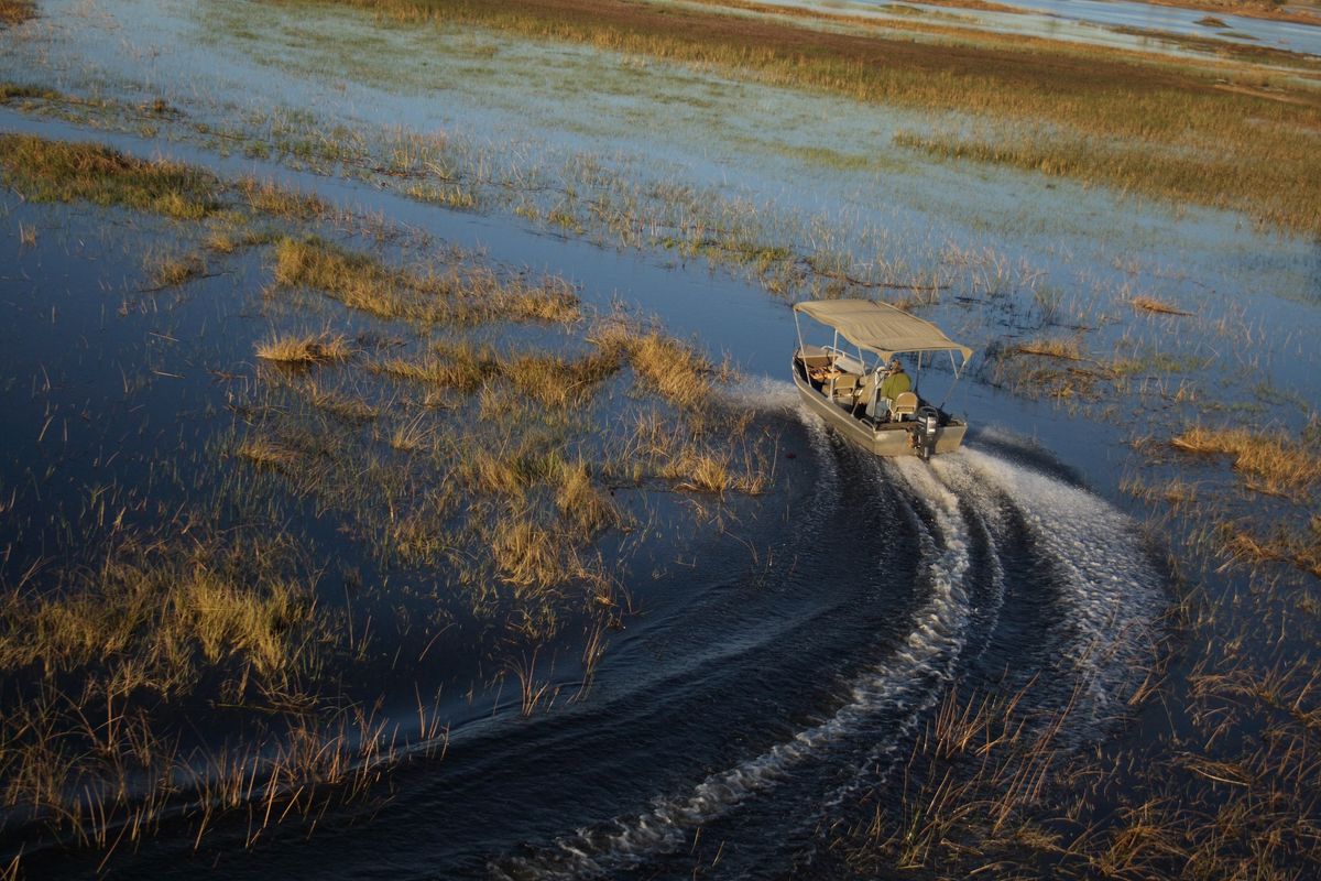 Flitterwochen in Afrika