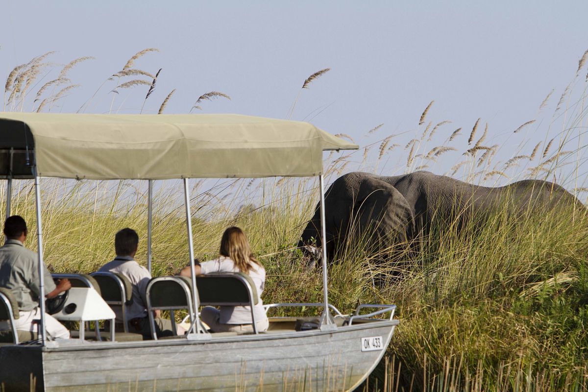 Flitterwochen in Afrika