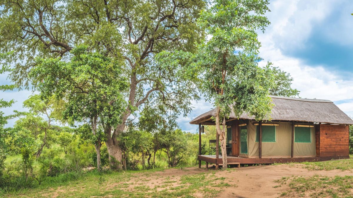 Shindzela TC tent