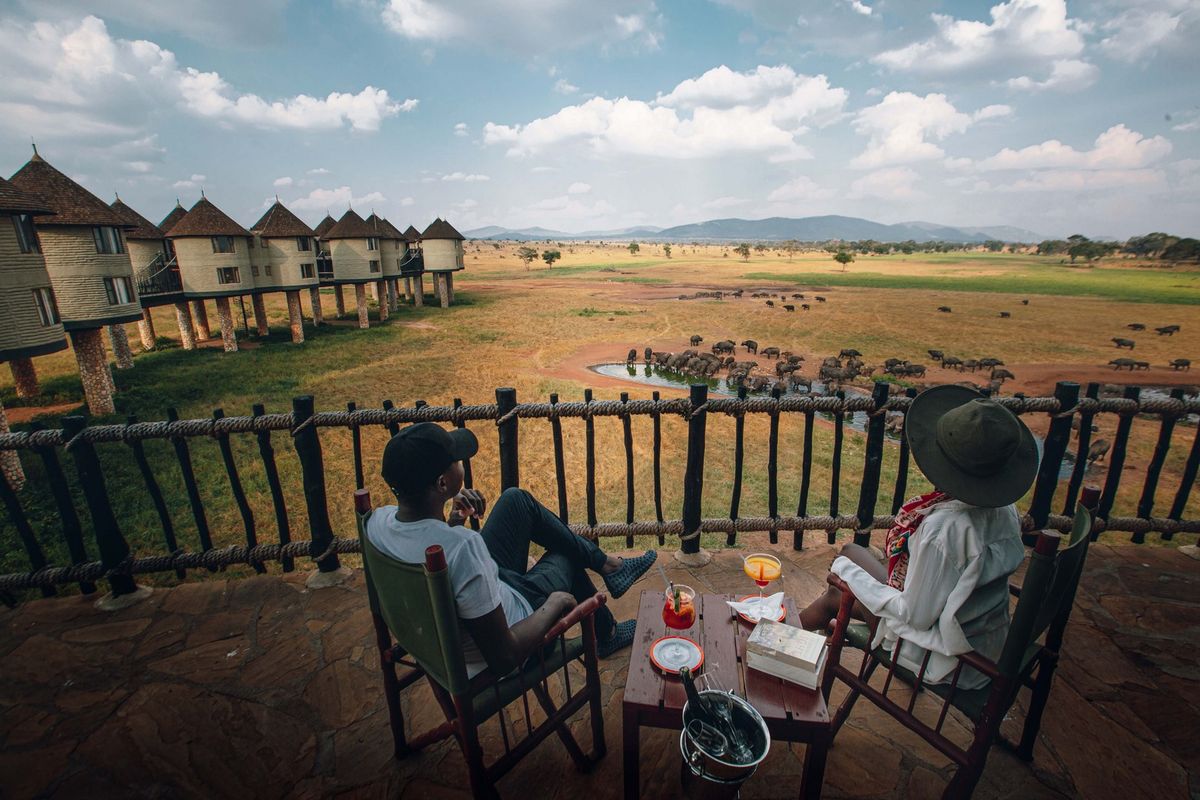 Taita Hills buffalos