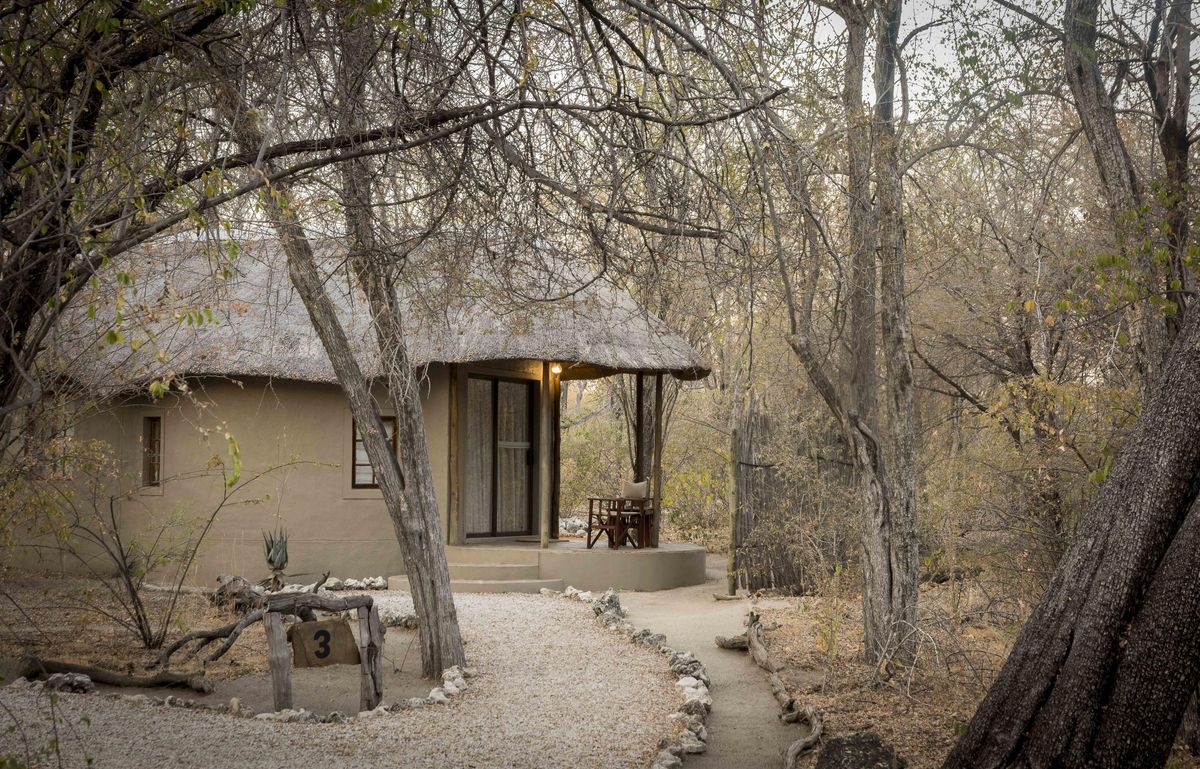 Onguma Forest Camp bungalow