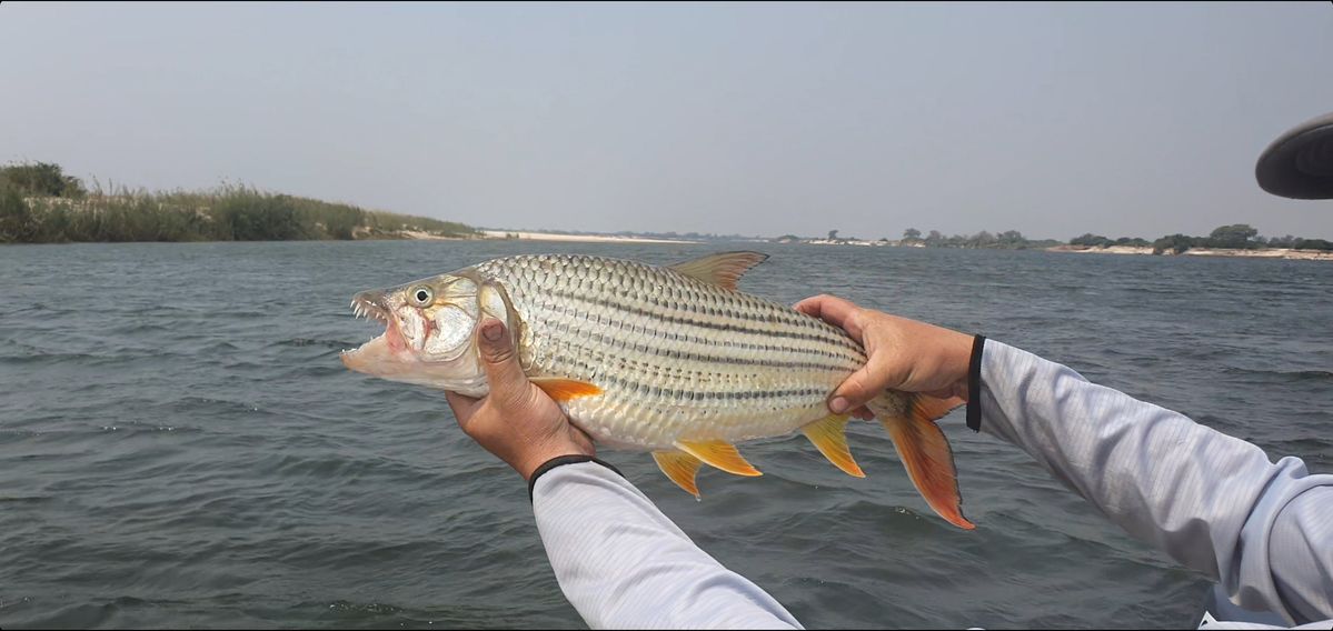 Katima Mulilo Zambezi Region