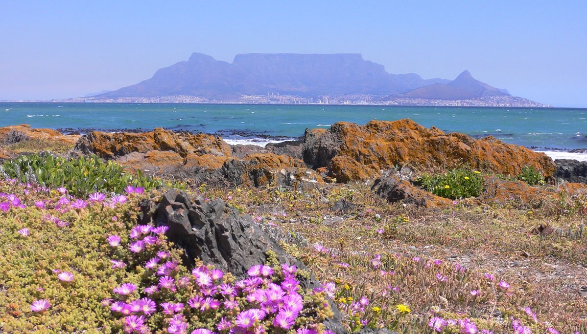 Die beste Reisezeit für Südafrika!