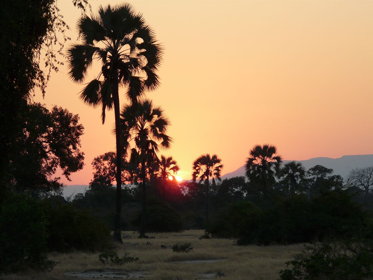 Mana Pools sunset