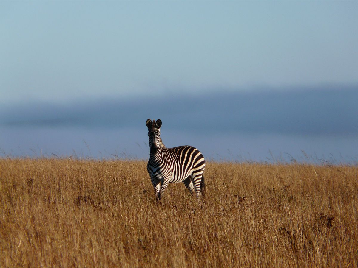 Malawi - North & Lake Explorer