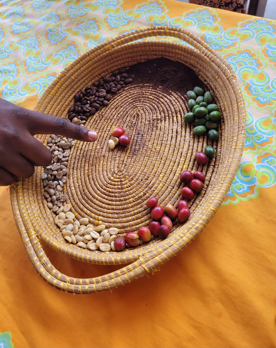 Lake Kivu coffee experience