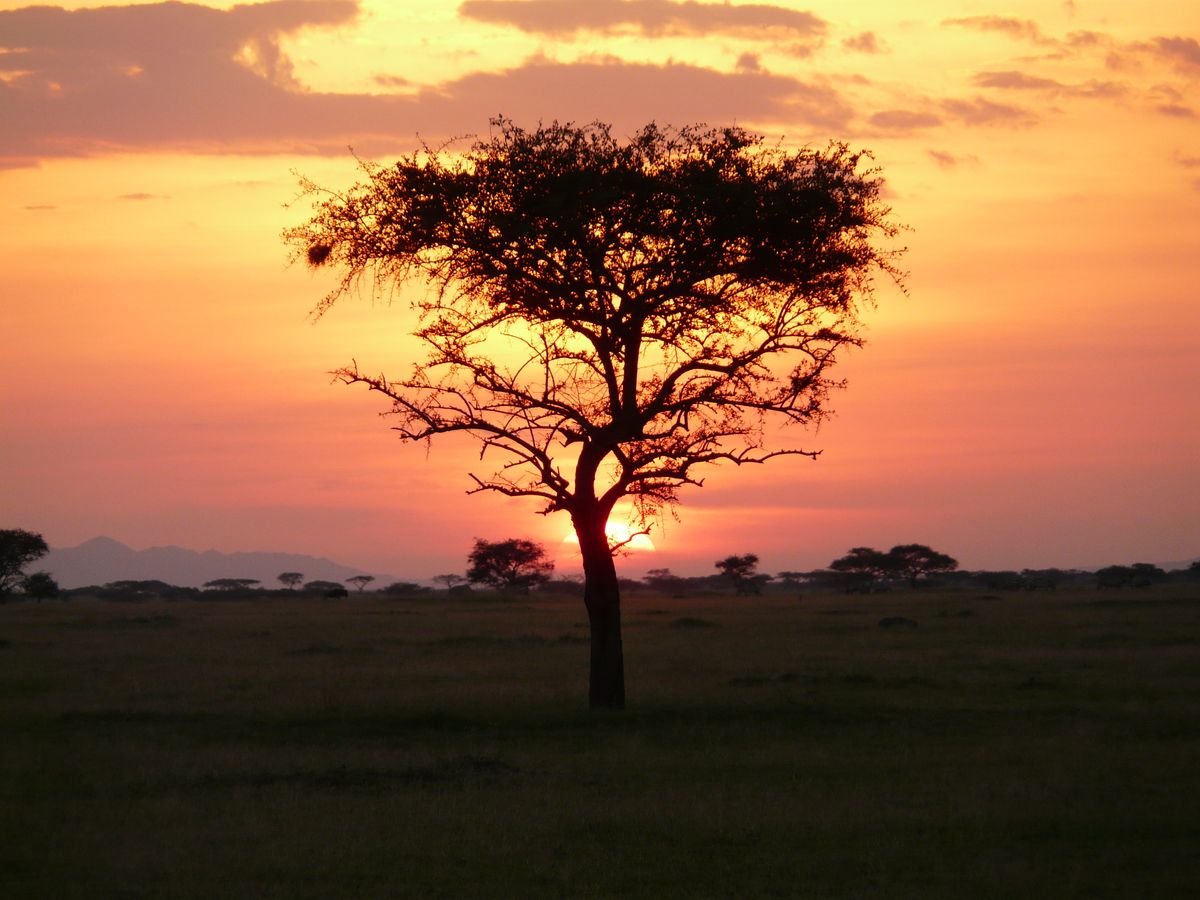 Grumeti sunset