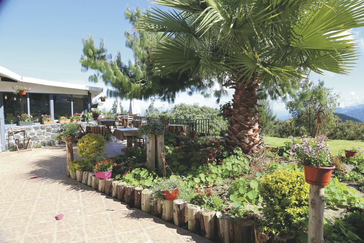 Les Géraniums outdoor area
