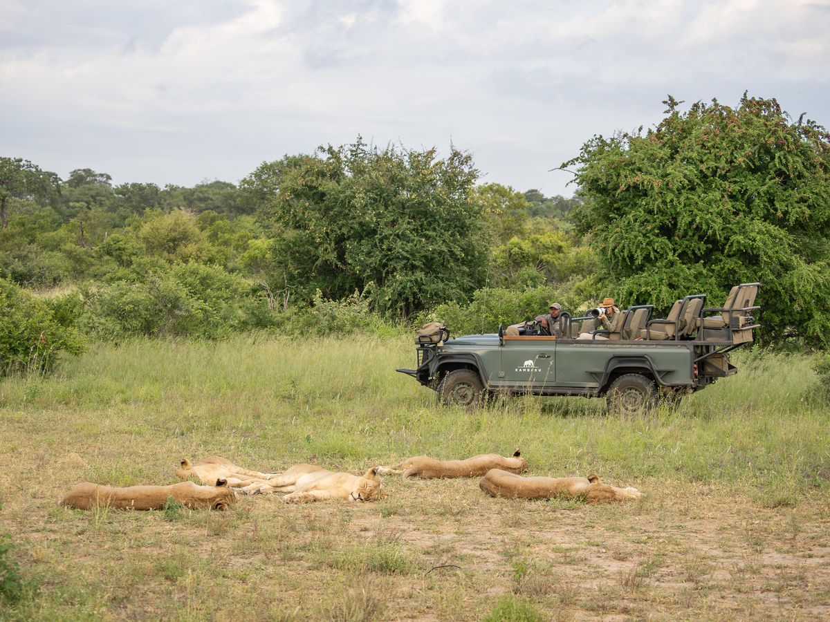 Kambaku River Sands game drive
