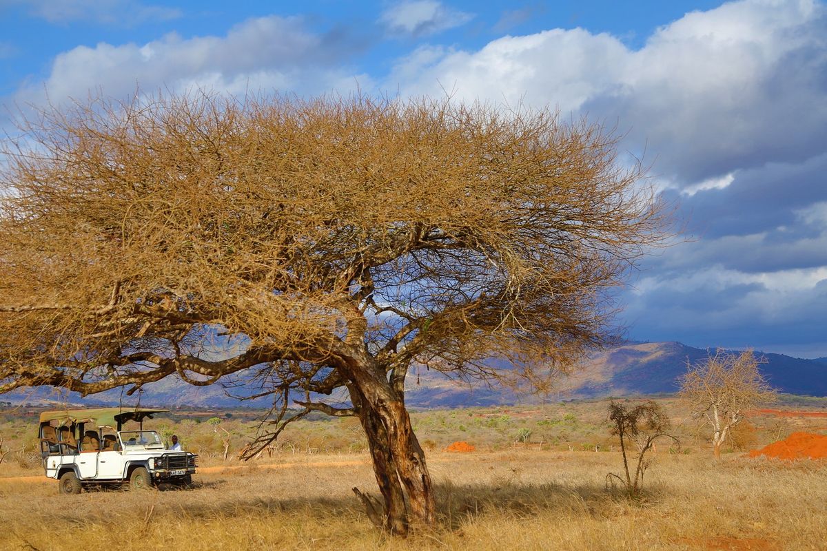 Taita Hills game drive