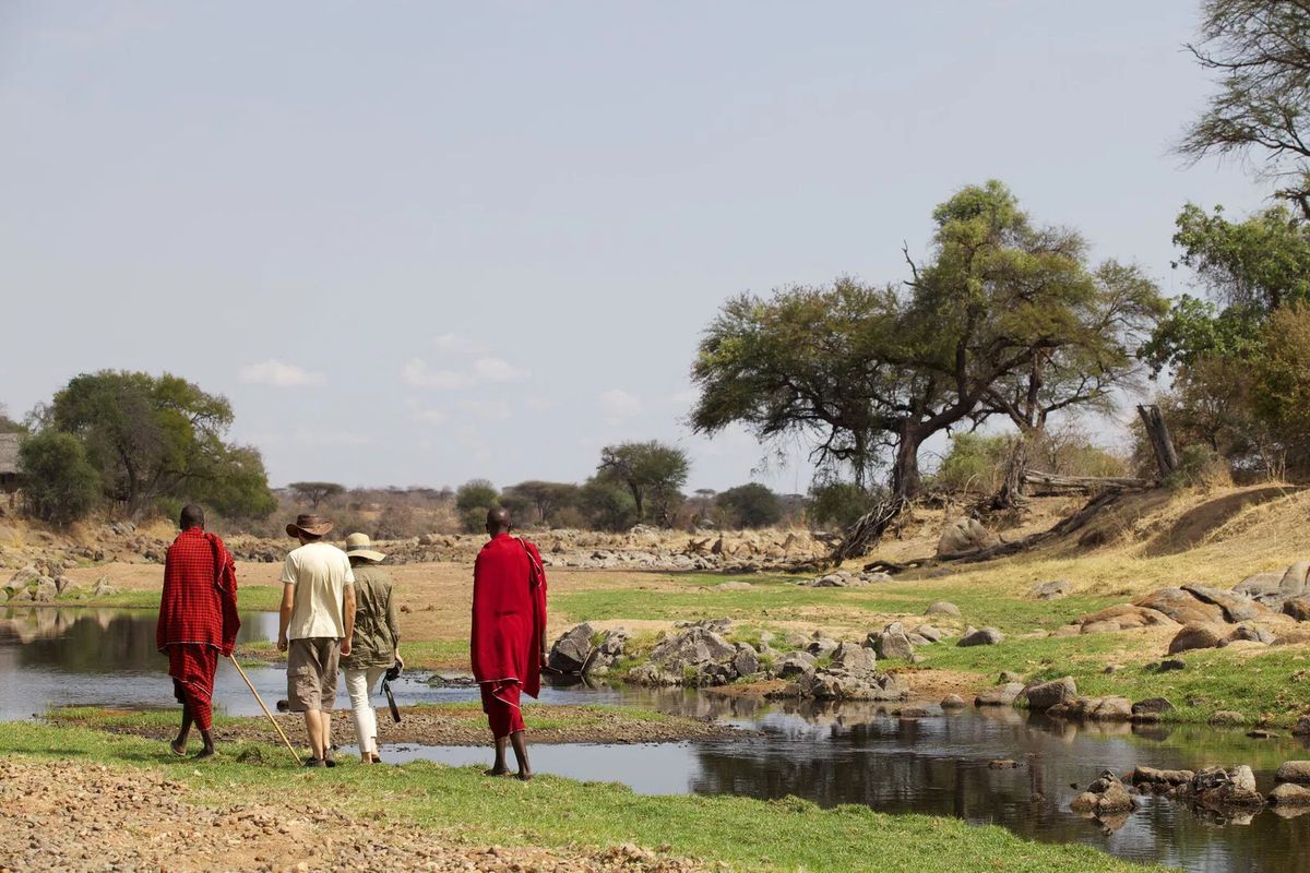 Ruaha walking safari
