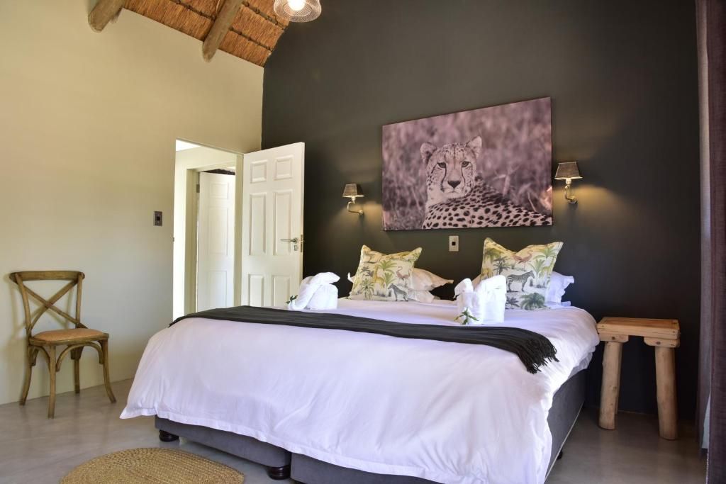 Bayala room