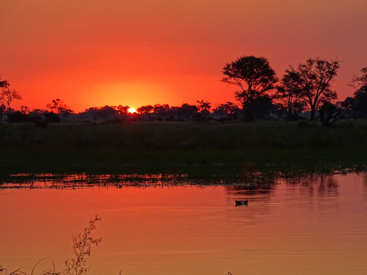 Botswana sunset