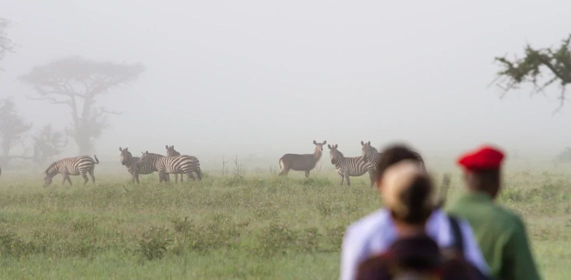 Arusha bushwalk