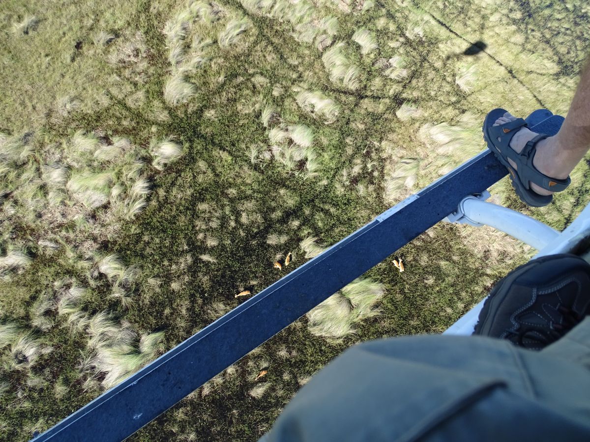 Okavango Delta heli flip