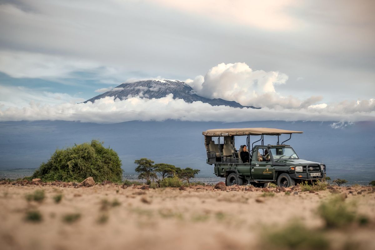 Elewana Tortilis game drive