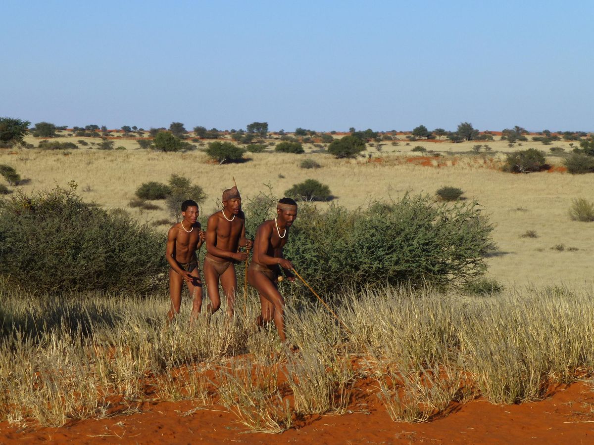 Bagatelle Bushmen