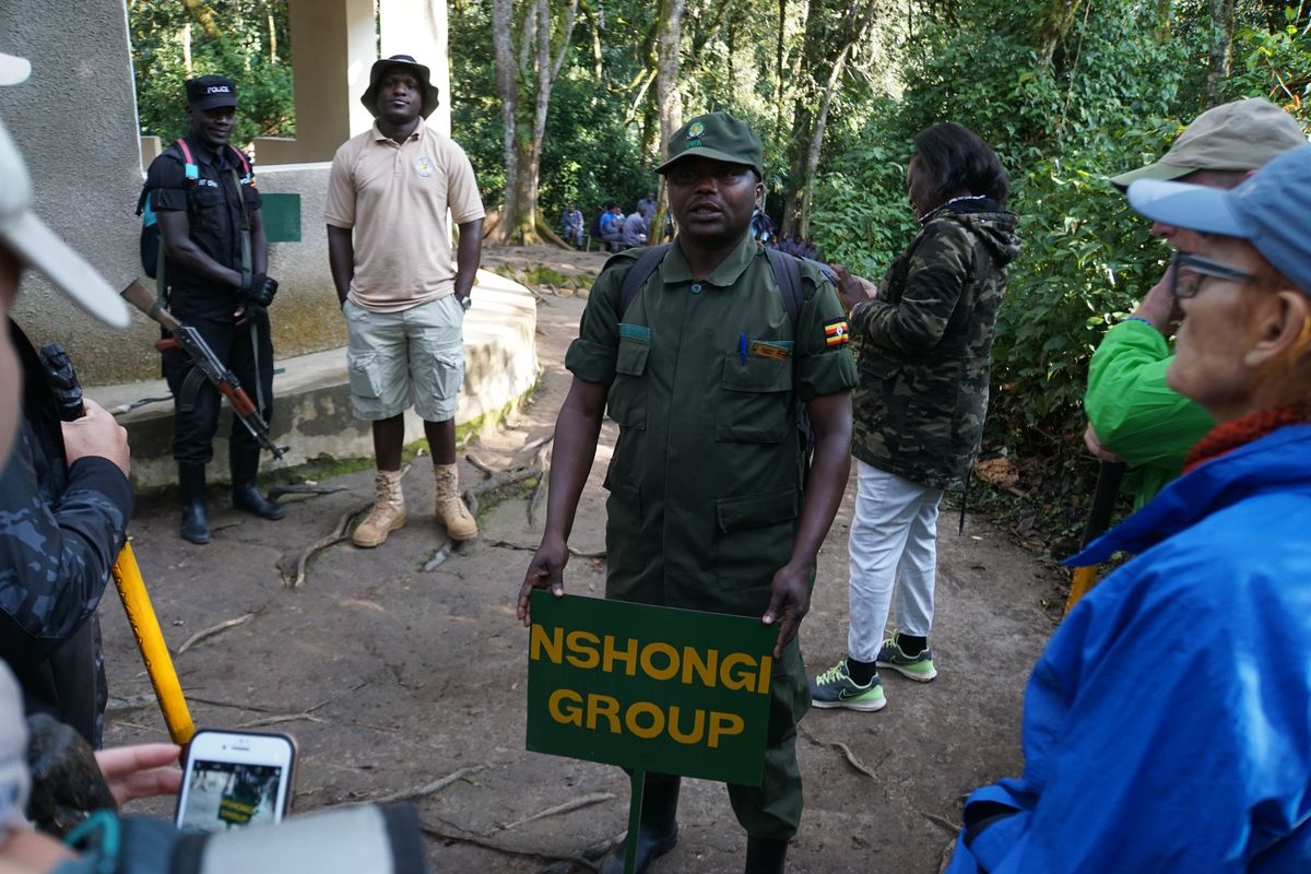 Bwindi briefing